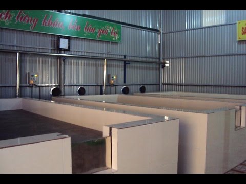 hệ thống lò sấy nông sản bằng hơi nước